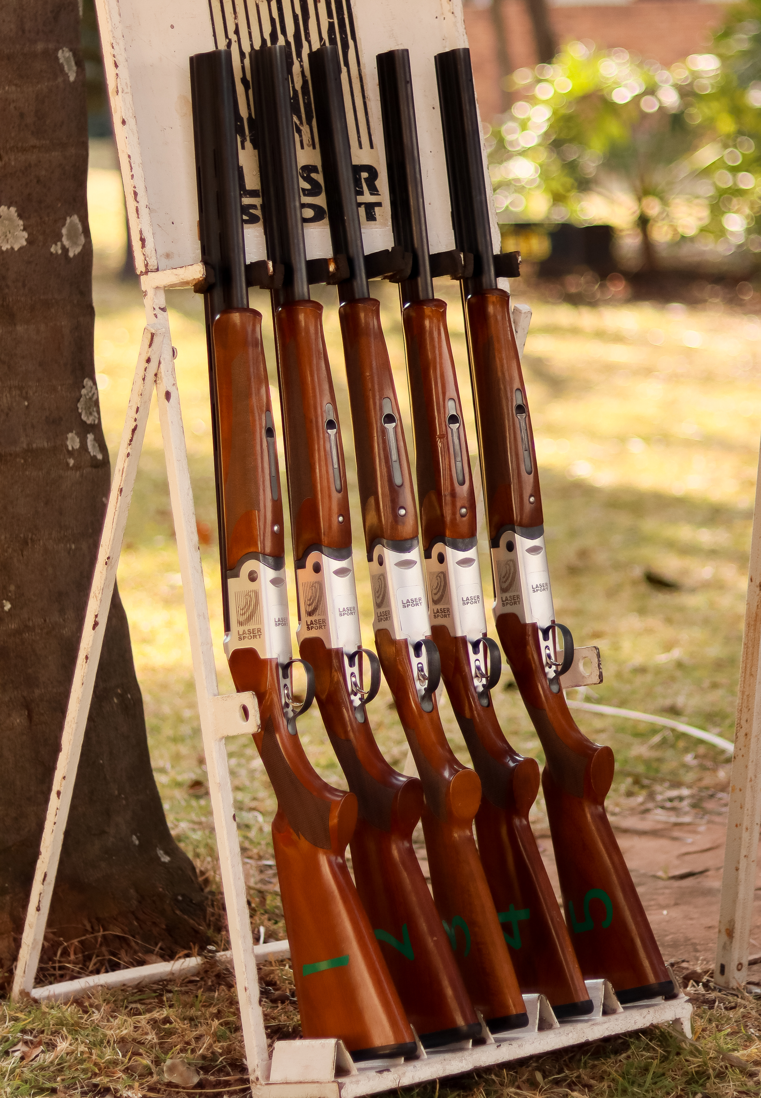 laser-clay-pigeon-